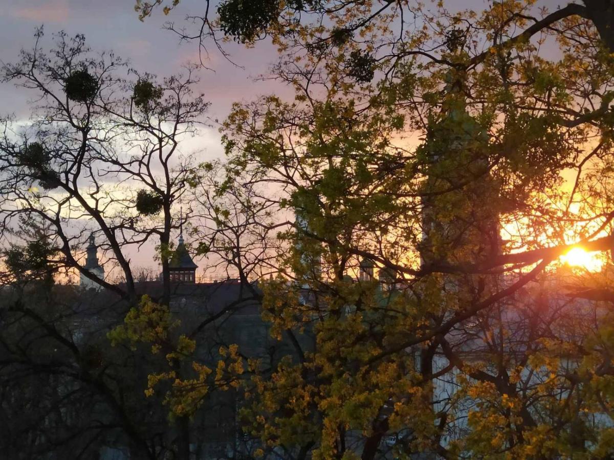 Guest House "Arkhistratyg" Lviv Bagian luar foto