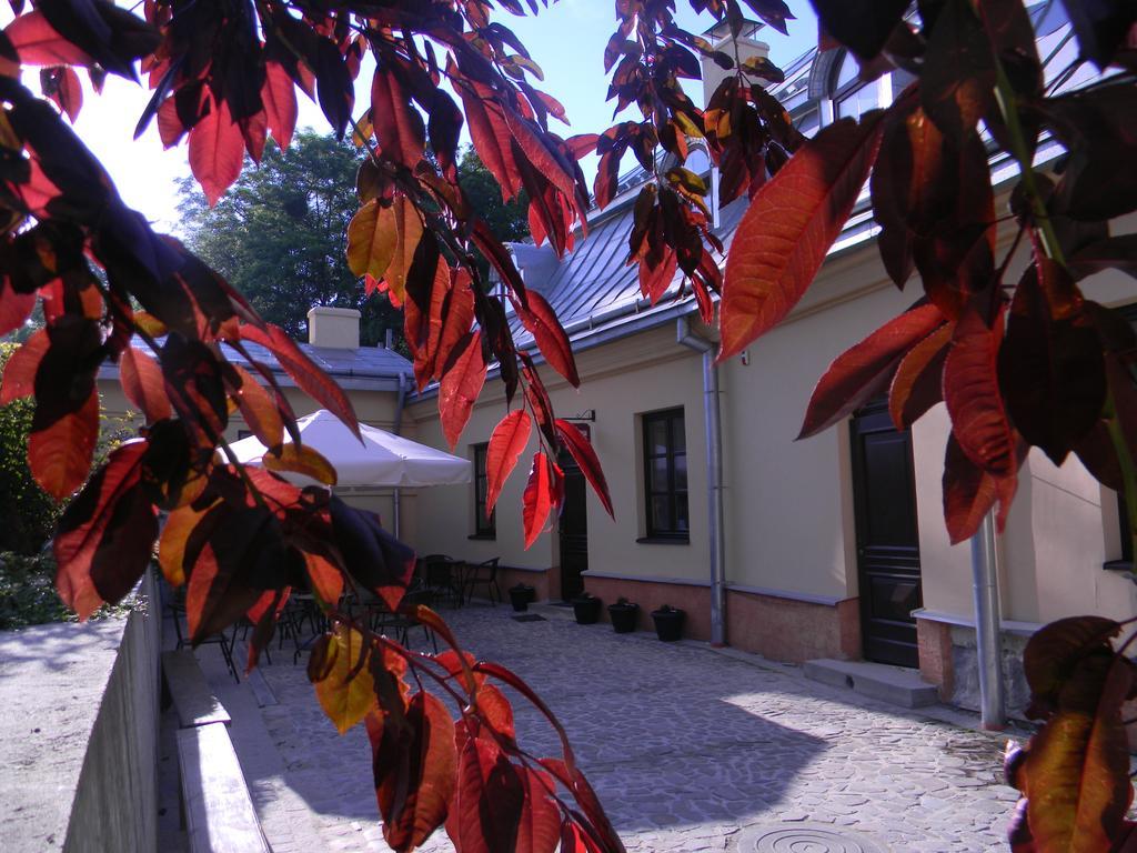 Guest House "Arkhistratyg" Lviv Bagian luar foto