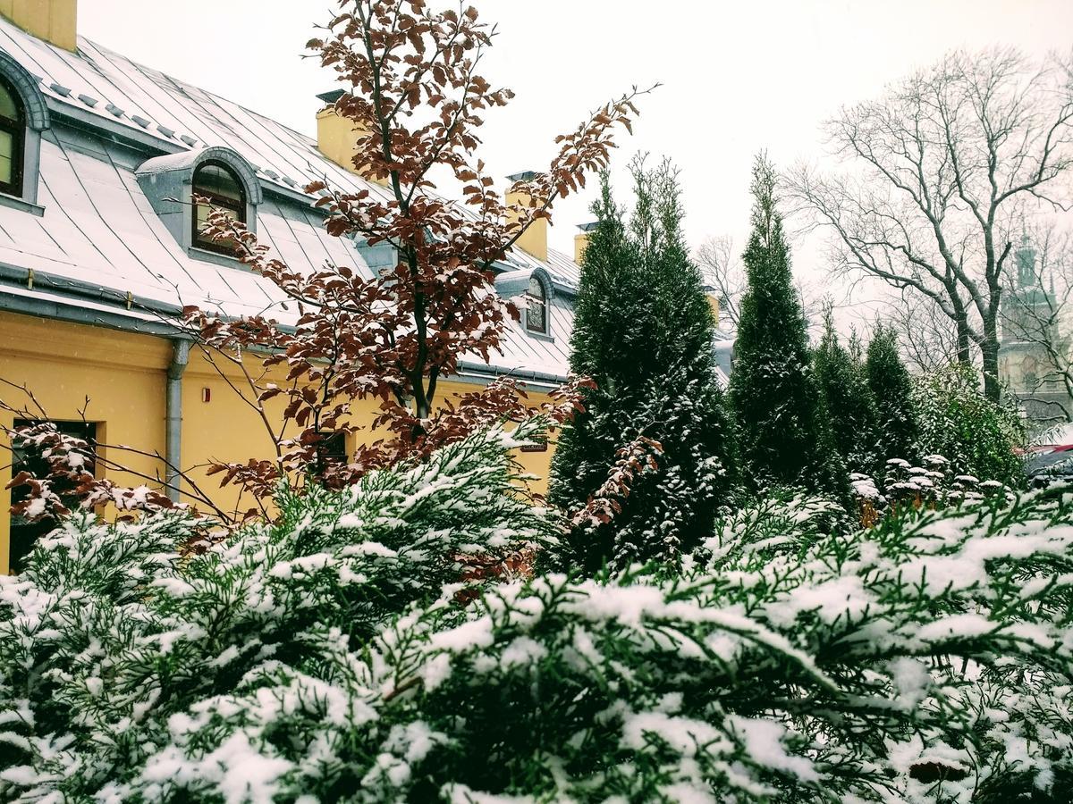 Guest House "Arkhistratyg" Lviv Bagian luar foto